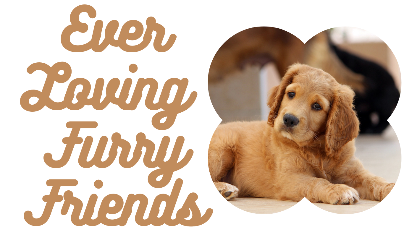 Ever Loving