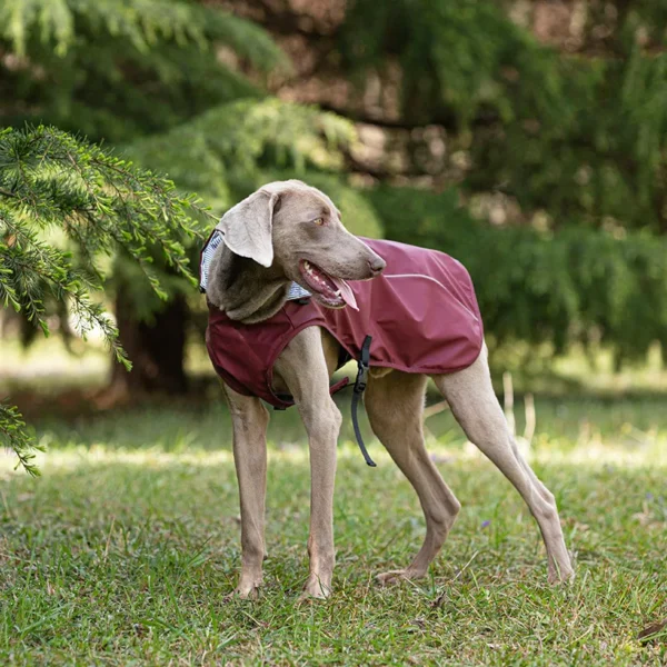 Large Dog Portable Universal PU Raincoat Pet Stormcoat Reflective Outdoor Pet Windbreaker Dog Raincoat Pets Raincoat Accessories - Image 5