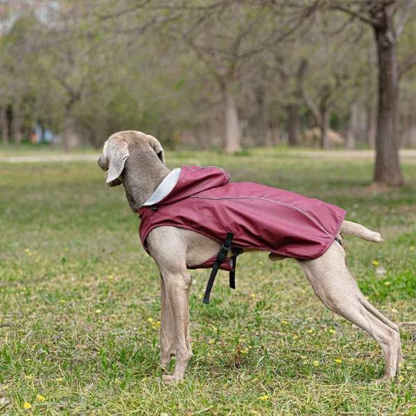 Large Dog Portable Universal PU Raincoat Pet Stormcoat Reflective Outdoor Pet Windbreaker Dog Raincoat Pets Raincoat Accessories - Image 6