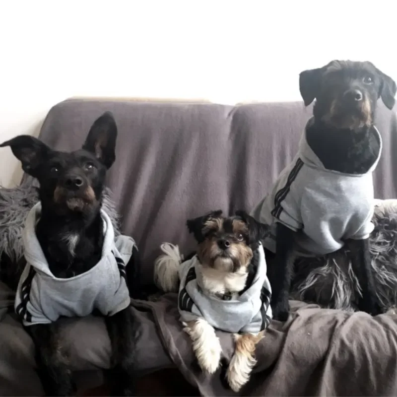 Autumn Winter Warm Dog Clothes Adidog Dog Hoodies Pet Warm Coat for Medium Large Dog Jacket Sweater Puppy French Bulldog Clothes - Image 6