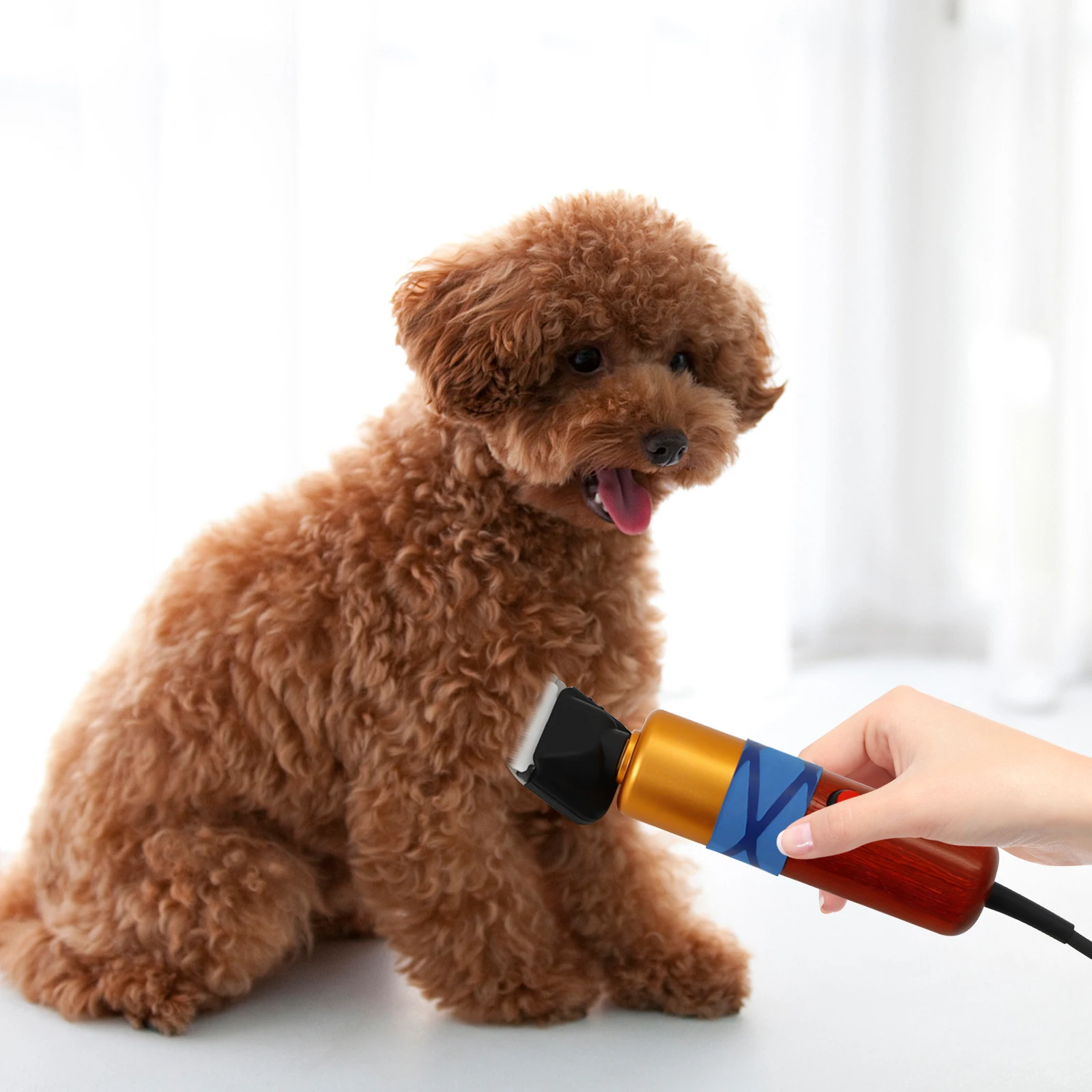 Pet Hair Clipper Low Noise High-efficiency Professional Electric Variable Speed Hair Shearing For Sheep Dogs Cats Pet - Image 5