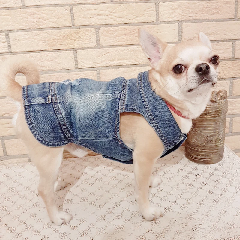 XS-2XL Denim Dog Clothes Cowboy Pet Dog Coat Puppy Clothing For Small Dogs Jeans Jacket Dog Vest Coat Puppy Outfits Cat Clothes - Image 6