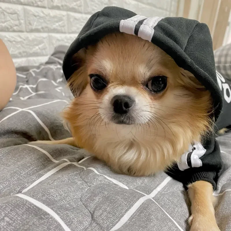Autumn Winter Warm Dog Clothes Adidog Dog Hoodies Pet Warm Coat for Medium Large Dog Jacket Sweater Puppy French Bulldog Clothes - Image 5